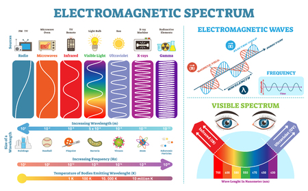 Full Electromagnetic Spectrum Information collection, vector illustration diagram with wave lengths, frequency and temperature. Wave structure scheme. Educational physics infographic elements.のイラスト素材
