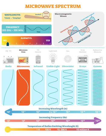 Electromagnetic Waves: Microwave Spectrum. Vector illustration diagram with wavelength, frequency, harmfulness and wave structure. Science educational information. Info poster.のイラスト素材
