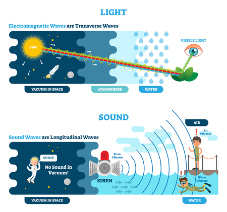 Longitudinal and Transverse wave type, vector illustration scientific diagram with wave structure and difference. Sonic and visual perception principle.のイラスト素材
