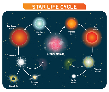 Star life cycle steps from stellar nebula to red giant to black hole. Vector illustration diagram poster.のイラスト素材