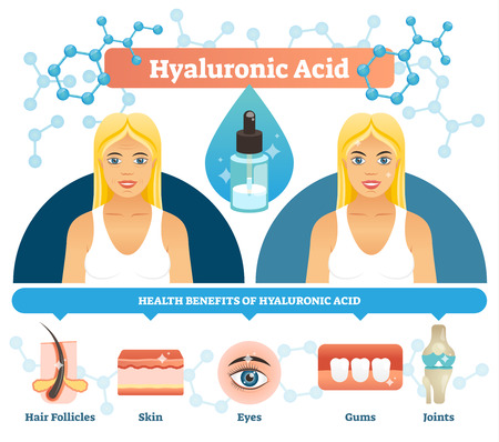 Hyaluronic acid vector illustration. Women beauty health benefits like hair follicles, skin, eyes, gums and joints preservation with natural wellness treatment. Moisture oil therapy.のイラスト素材