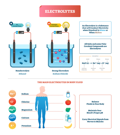 Electrolytes test vector illustration. Isolated Body fluid labeled diagram example. Ethanol and sodium chloride science test. Scheme with substance that conducts electricity when dissolved or molten.のイラスト素材