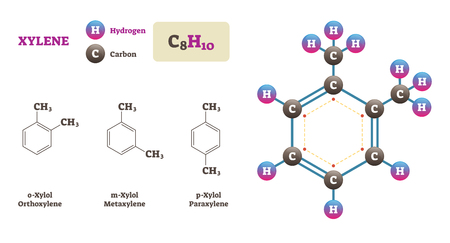 Xylene vector illustration. Labeled chemical structure diagram. Hydrogen and Carbon atoms bonding together and forming Xylene molecule. o-Xylol, m-Xylol and p-Xylol examples.のイラスト素材