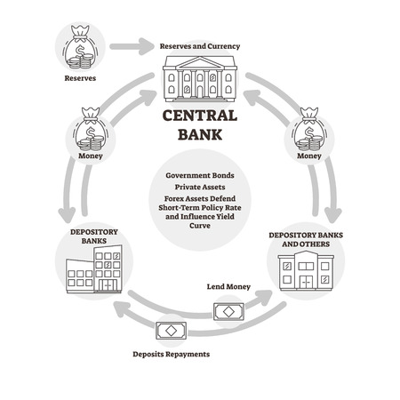 Central bank vector illustration. Outline finance explanation cycle scheme. Labeled reserves currency, money flow from depositary and private assets. Policy rate and influence yield curve explanation.のイラスト素材