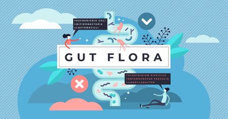 Gut flora vector illustration. Flat tiny gastrointestinal microbe person concept. Abstract digestive...
