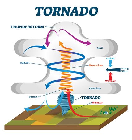Tornado vector illustration. Labeled educational wind vortex explanation. Weather hurricane scheme with anvil, mesocyclone and cloud base. Updraft air motion that causes dangerous spiral whirlwinds.のイラスト素材
