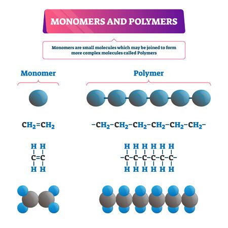 Monomers and polymers vector illustration. Labeled chemical educational scheme with both examples. Complex molecules structure formula and organic synthesis. Microscopic atom bonding closeup diagram.のイラスト素材