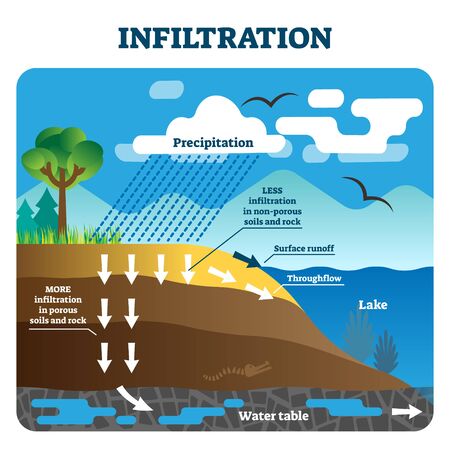 Infiltration vector illustration. Labeled natural precipitation water cleaning through underground soils, rocks and minerals. Scheme with earth climate scene. Educational geography climate circulationのイラスト素材
