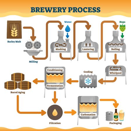 Brewery process vector illustration. Labeled beer or ale making process scheme. Educational explanation with mashing, lautering, boiling, fermentation and filtration diagram. Hops craft drink culture.のイラスト素材
