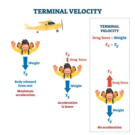Terminal velocity vector illustration. Labeled falling speed explanation. Mathematical skydiving formula law with weight, acceleration and drag force in mid air jump. Motion measurement infographic.のイラスト素材