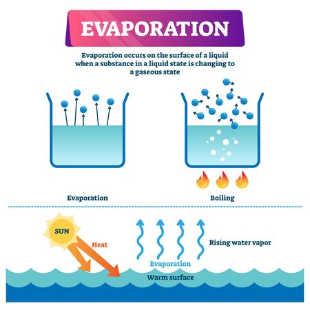 Evaporation vector illustration. Labeled liquid surface substance change to gas state scheme. Educational explanation diagram with nature phenomenon when sun heats warm water and triggers rising vaporのイラスト素材