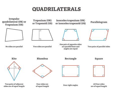 Quadrilaterals vector illustration. Labeled four sides geometrical ornaments with titles collection. Scheme with difference explanation in square, rectangle, rhombus, kite, parallelogram and others.のイラスト素材