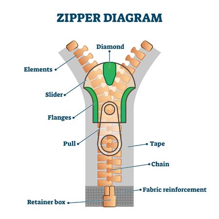 Zipper diagram vector illustration. Detailed educational scheme with titles. Part names explanation with binding clothing edges. Fabric clasp locker description and technical drawing infographic.のイラスト素材