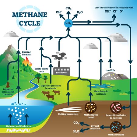Methane cycle diagram, global pollution process vector illustration scheme. Burning fossil fuels, landfills, plant decay in wetlands, melting permafrost, digestive processes in termites and animals.のイラスト素材