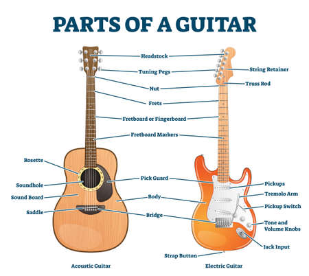 Parts of acoustic and electric guitar labeled structure vector illustration. Educational instrument detailed anatomy description for beginners. Scheme with frets, headstock, fingerboard and bridge.のイラスト素材