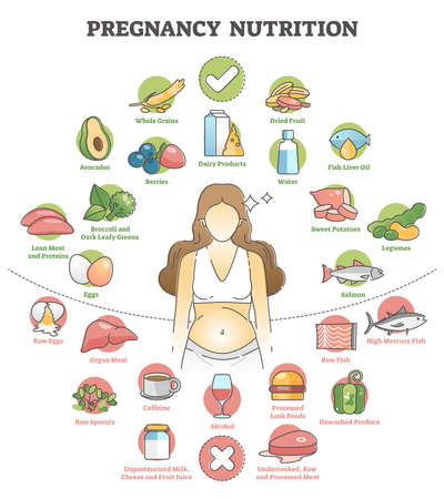 Pregnancy nutrition with recommendation female food products outline conceptのイラスト素材