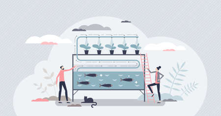 Aquaponics as aquaculture and hydroponics agriculture tiny person conceptのイラスト素材