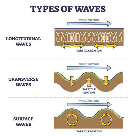 Types of longitudinal, transverse and surface waves examples outline diagramのイラスト素材