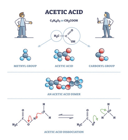 Acetic acid formula or vinegar substance chemical description outline diagramのイラスト素材
