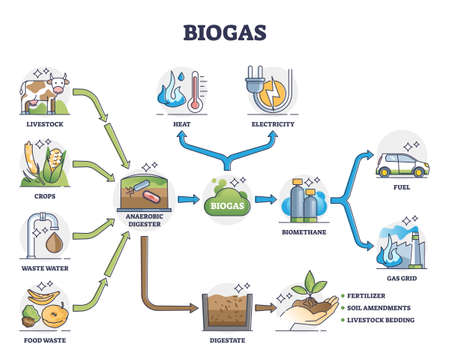 Biogas or bio gas division for energy consumption and sources outline diagramのイラスト素材