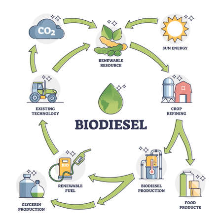 Biodiesel fuel life cycle explanation with all usage stages outline diagramのイラスト素材