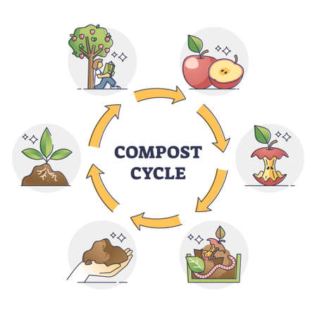 Compost cycle with natural food waste recycling process outline diagramのイラスト素材