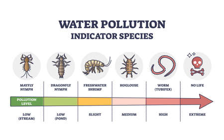 Water pollution indicator species from low to extreme levels outline diagramのイラスト素材