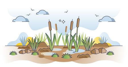 Peatlands or mires as decomposed organic material lands outline conceptのイラスト素材
