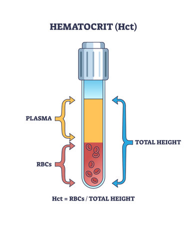 Hematocrit or HCT as red blood cells count in sample test outline diagram. Labeled educational scheme with plasma, total height and RBC components percentage vector illustration. Laboratory diagnosisのイラスト素材