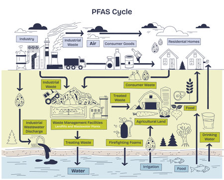 PFAS cycle illustrates contamination flow from industry to environment, highlighting industrial waste, water, and food. Doodle style diagramのイラスト素材