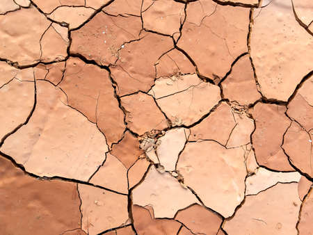 Dry cracked mud in a hot temperature dayの写真素材