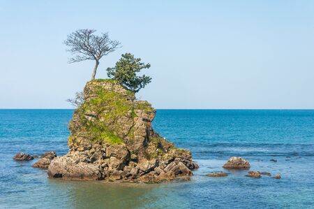 Small rock in the sea of Japan with small tree coverの写真素材
