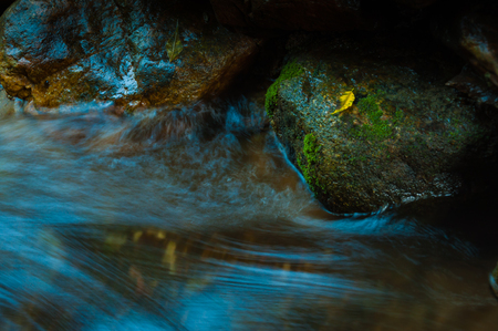 Waterfall and rock with leaf in dark low key and long exposure with copy spaceの写真素材