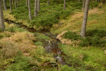 A walk through the autumn forest around the stream from KomÃ¡Å™Ã­ jezÃ­rek