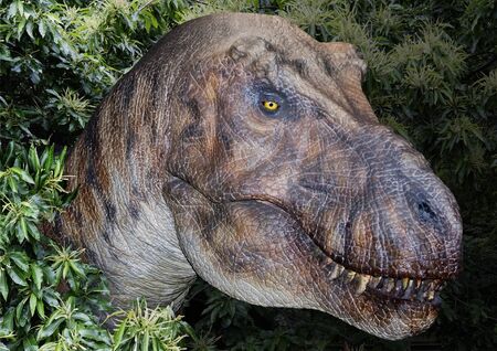 April 2008, Natural History Museum, London, UK. Realistic life size model of a Tyrannosaurus Rex surrounded by leaves, peering through the jungle, searching for prey.のeditorial素材