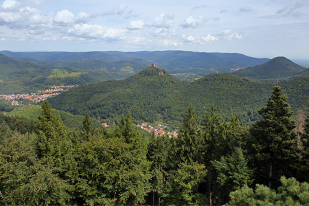 Pfaelzer forestの写真素材