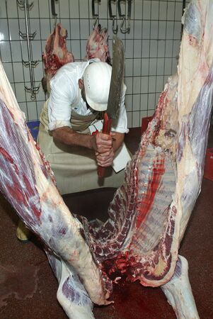 Slaughterhouse