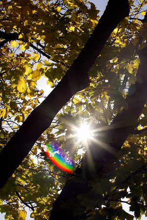 Backlightの写真素材