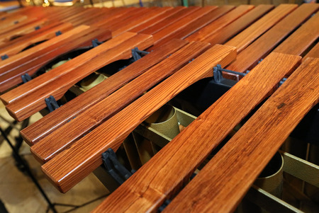 xylophone
