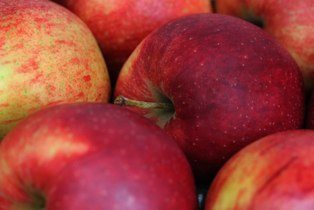 Apples, Jonagoredの写真素材