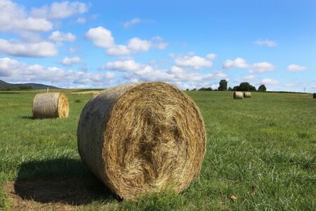 straw balesの写真素材