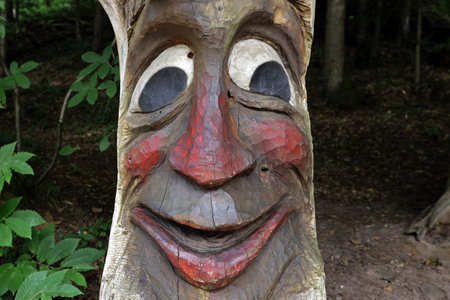 forest ghostの写真素材