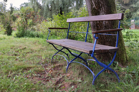 Tree and bench, bench, tree, closeupの写真素材