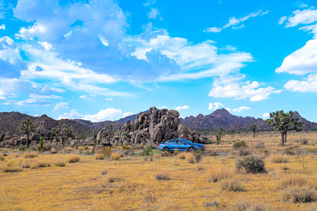 Joshua Tree National Park in California, USA in a beautiful summer dayの写真素材