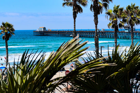 Palm trees and wooden pier in San Diego, California, USAの写真素材
