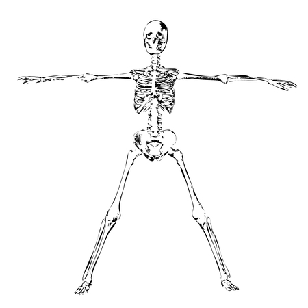 Isolated skeleton illustrationのイラスト素材