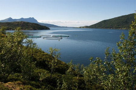 Norway view, fish industryの写真素材