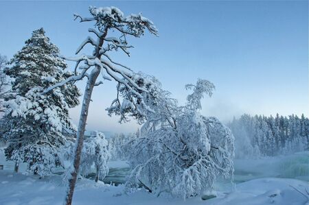 Storforsen waterfall in scandinavia in winterの写真素材
