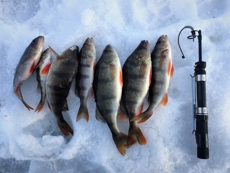Ice fishing. Winter fishing, catching a fish