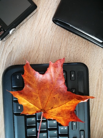 Red yellow autumn leaves on keyboardの写真素材